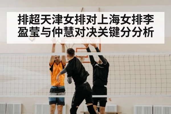 volleyball block net